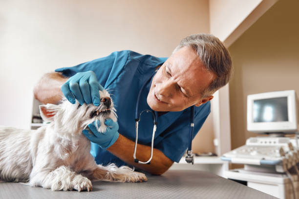 Best Emergency Dentist for Special Needs Patients in Bend, OR